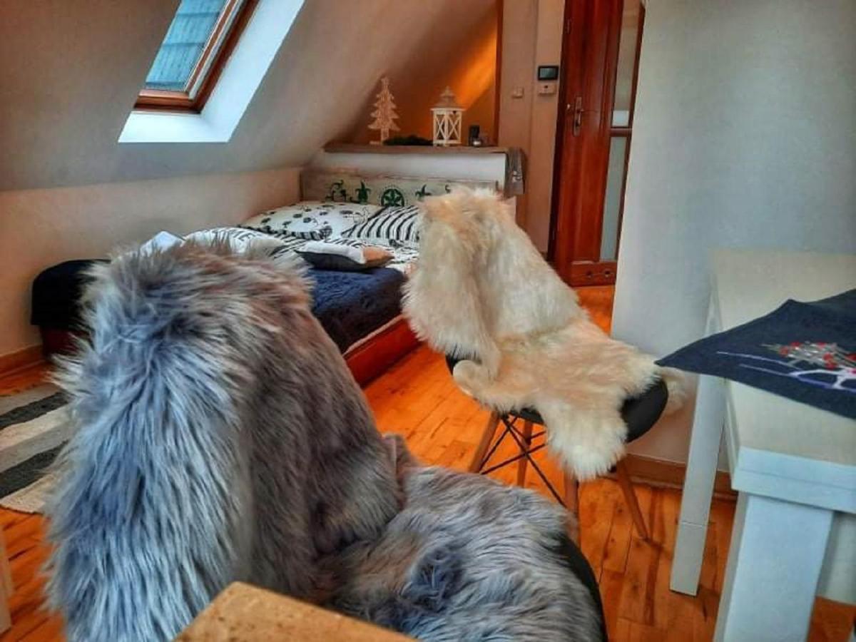Willa Czajka - Widokowe Apartamenty Zakopane Esterno foto