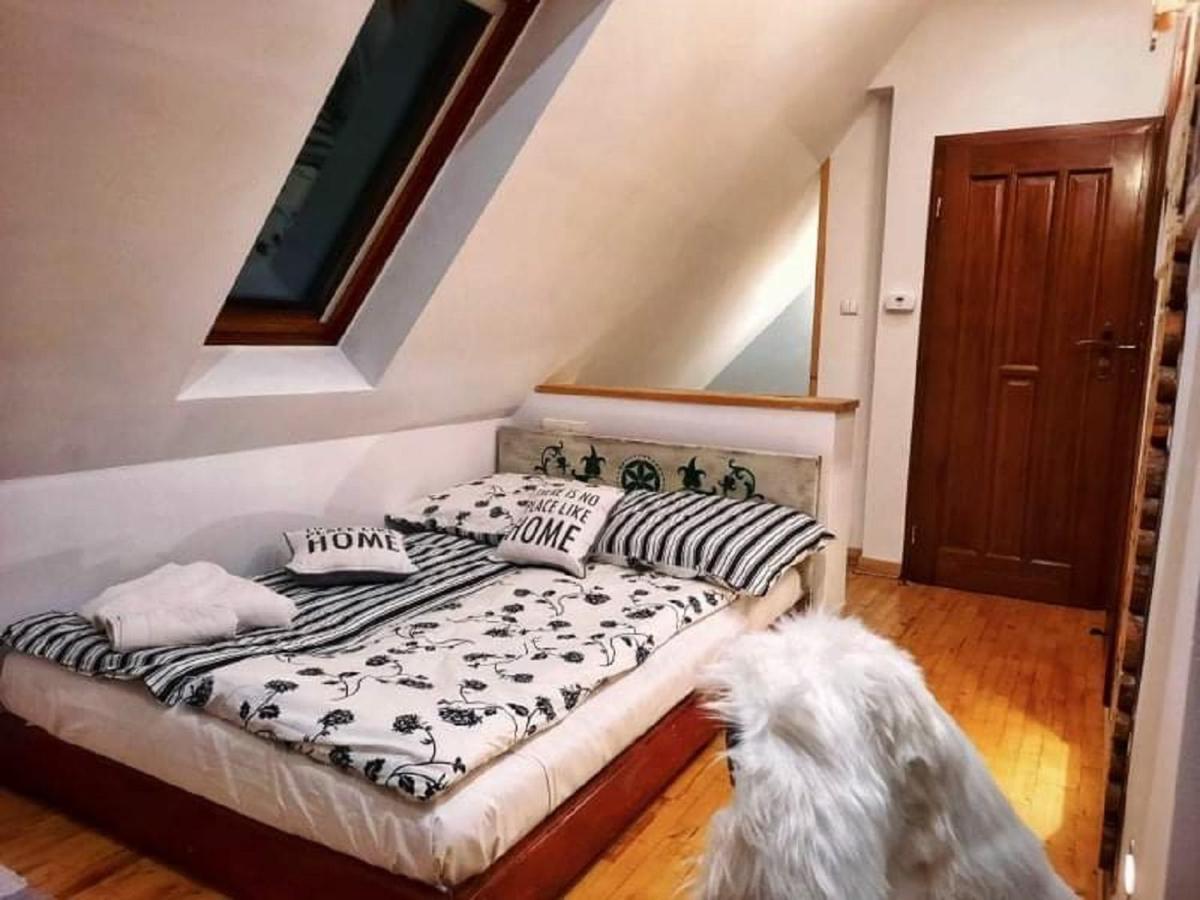 Willa Czajka - Widokowe Apartamenty Zakopane Esterno foto